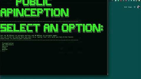 Ruby CLI - Public APInception User Walkthrough