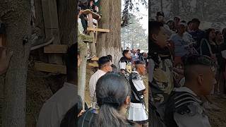 Arrepentimiento de Judas, Semana Santa en Santiago Tilapa 2024 ##santiagotilapa #virales #hoy