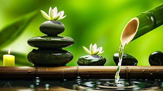 Relaxing Zen Music 24\/7 - Bamboo, Relaxing Music, Meditation Music, Peaceful Music, Nature Sounds