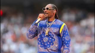 DJ Cummerbund  The Next Sickness Official Music