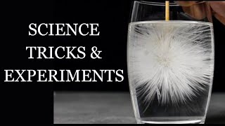 AMAZING SCIENCE TRICKS & EXPERIMENTS.scienceexperiment  tricks fun