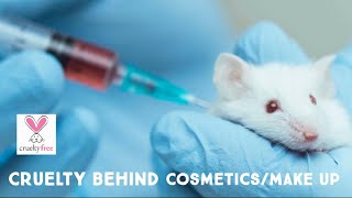 animal testing in cosmetic industry