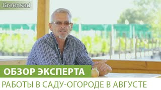 Работы в саду-огороде в августе(В этом видео наш эксперт расскажет Вам о том, какие работы нужно проводить в августе. Купить удобрения можно..., 2015-08-19T13:37:23.000Z)