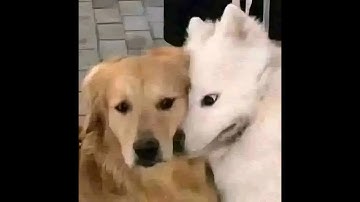 Lab 5 | Nhập Môn Công Nghệ Thông Tin