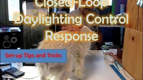 Runaway Control Voltage! Daylighting with a Cute Dog - Closed-Loop Setpoint out of Range