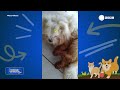 Soltando os Bichos - 31/05/2026
