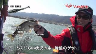 取説）エビシャッド