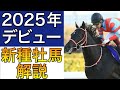 【POG/25−26】今年産駒デビューの新種牡馬を解説＆注目２歳馬レビュー！