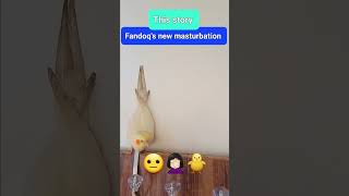 This story| Fandoqs new masturbation short shorts bird birds animals