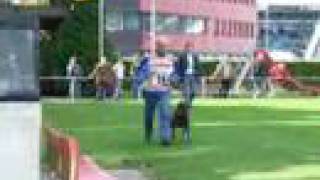 KNPV: NK Object Bewakingshond 2007: Overval op de geleider