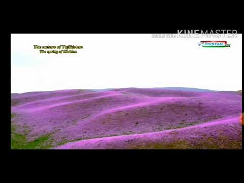 Самый Красивый Природа Таджикистан 2020
