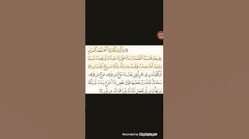 ما# تيسر #من# سورة  #النور #بصوت# القارئ #أبو محمد #الرشيد #####