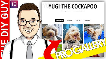Elementor Pro Gallery Widget: 2.7 Overview