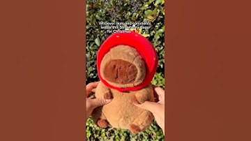 Website: CapyPlush.Store !Link 🔗 in Bio!!Ask your parents 🥰 FREEE SHIPPING ‼️ #capybara #christmas