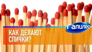 Галилео 🔥 Как делают спички?