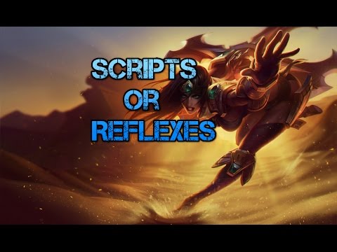 Reflex Script Scripts or Reflexes? - YouTube