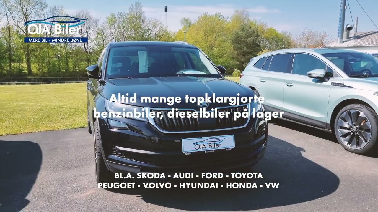 Altid mange topklargjorte benzinbiler, dieselbiler på lager