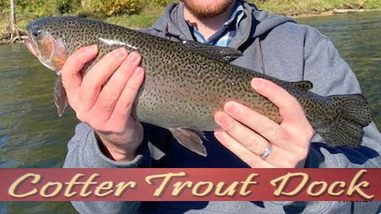 November 10, 2021 Arkansas White River Trout Fishing Report YouTube