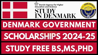 Fully Funded Denmark Government Scholarships 2024-2025 for Bachelors, Masters, PhD Easy Application