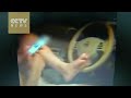 No hands! Man investigated for steering car with foot -Visuals