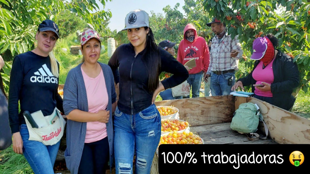 LAS MUJERES MAS GUAPAS Y  TRABAJADORAS 😍 DE LA CUADRILLA ASI TRABAJAN LAS MADRES SOLTERAS