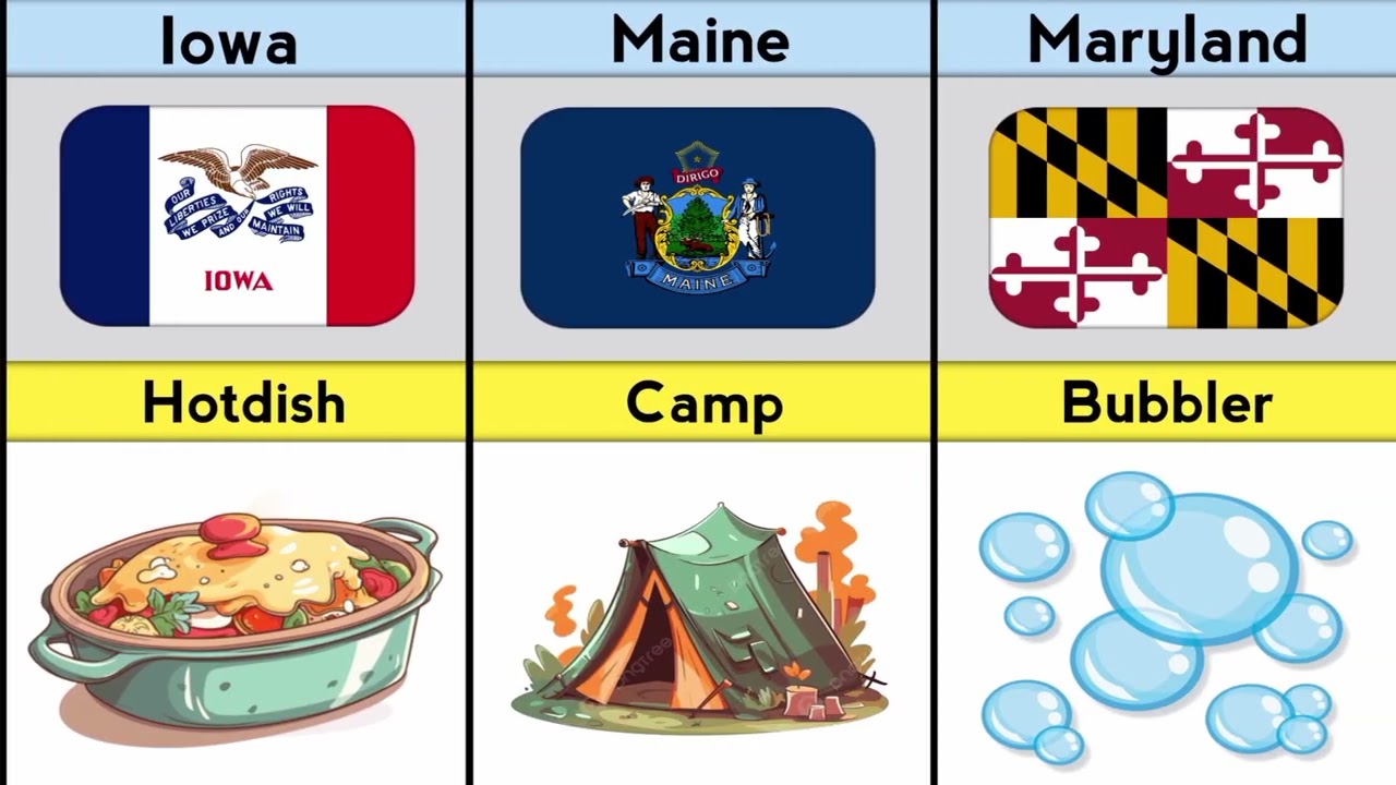 What Every U.S. State Calls Things Differently