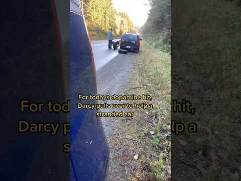 Start the car, start the car!