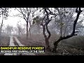 Bandipur receives first rainfall of the year  star of mysore