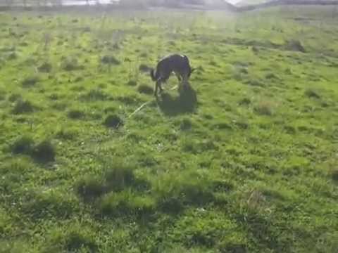 Non guardarlo negli