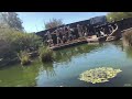Saint Louis Zoo Train Ride 10/9/25
