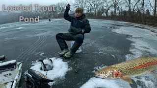 The DNR Stocked This Pond With 3000 Fish! (Shallow Water Ice Fishing!)
