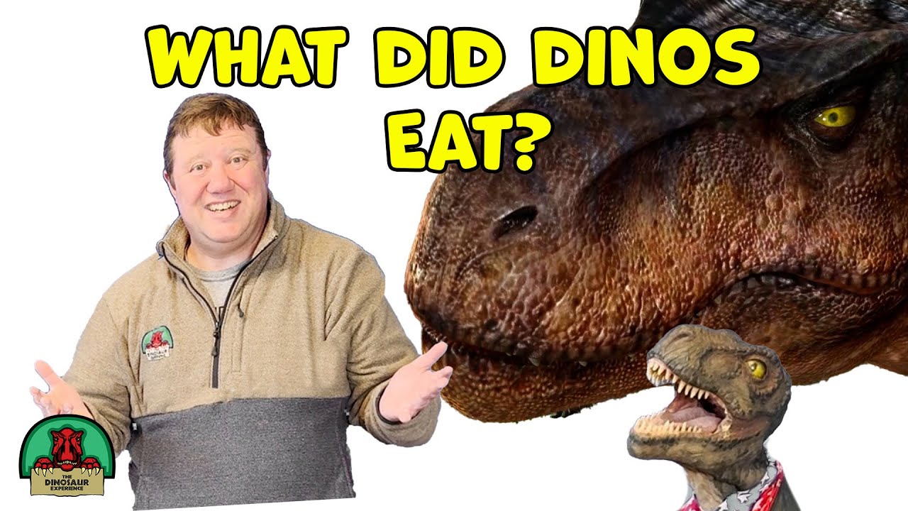 What did dinosaurs eat?