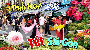 Bừng Cháy Phố Cây Kiểng Sài Gòn Nhiều Hoa Đẹp Kiêu Sa Cạnh Tranh Hoa Sa Đéc Tết Giáp Thìn 2024