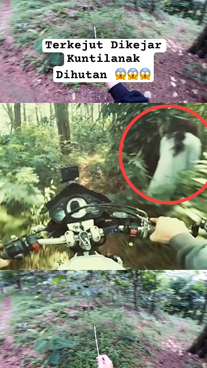 Surprised by being chased by a Kuntilanak in the forest 😱 #viralvideo #motovlogindonesia #shorts ...