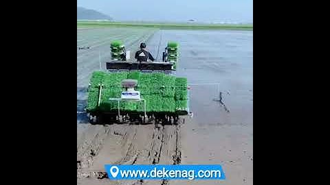 paddy rice transplanter