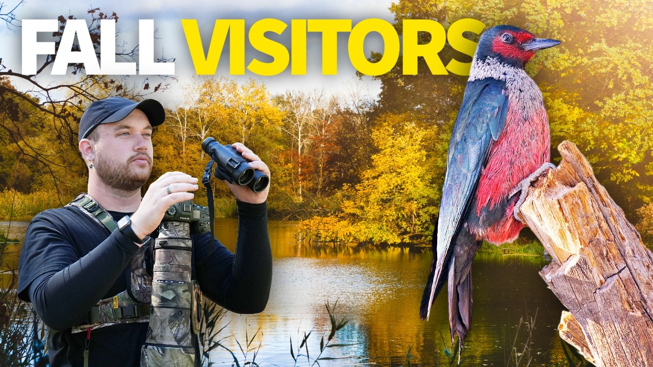 Encountering UNIQUE Fall Visitors Birding Utah Lake