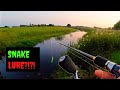 Topwater pike fishing  the forgotten canal 