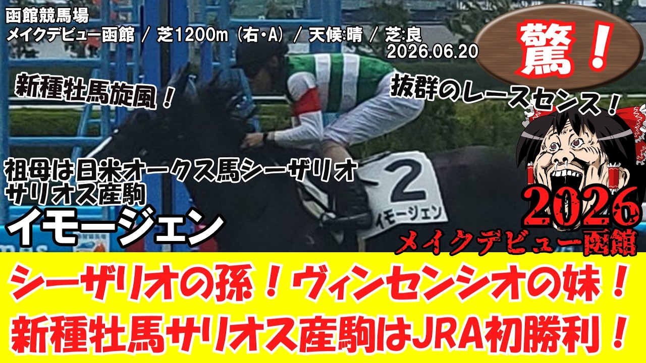 競馬】 驚き！シーザリオの孫！ヴィンセンシオの妹！新種牡馬サリオス