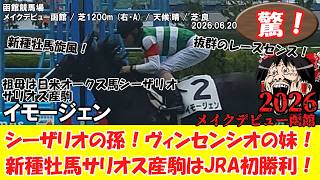 競馬】 驚き！シーザリオの孫！ヴィンセンシオの妹！新種牡馬サリオス