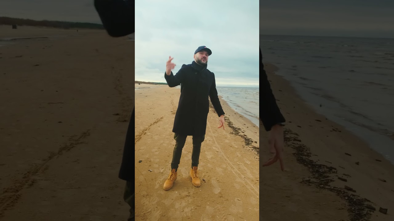 SRVNT x RAYMO - ЗДЕСЬ ПТИЦЫ НЕ ПОЮТ(Remix 2023)