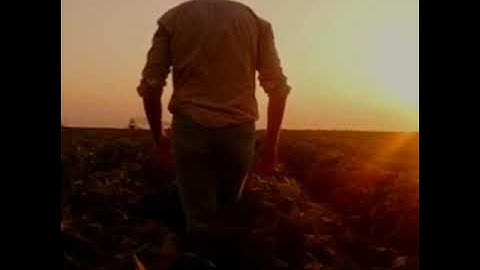 سورة الضحى، للقارئ سالم الرويلي 🌸