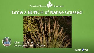 GROW A BUNCH OF NATIVE GRASSES & SEDGES!