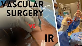Vascular Surgery or Interventonal Radiology by TheRadMed 1,916 views 1 year ago 9 minutes, 55 seconds