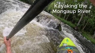 Mongaup River Whitewater Kayaking