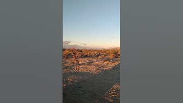 Thumbnail of Morning dew by Gregg & Duane Allman.  Beautiful song