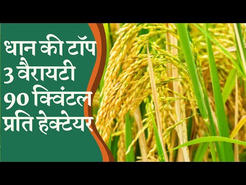 वीडियो: हाइब्रिड में किस प्लग की रेंज सबसे लंबी होती है?