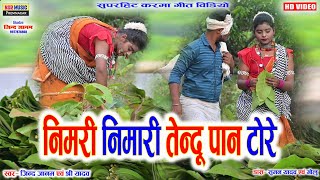 #Nimari Nimari Tendupaan Tore | निमरी निमारी तेन्दु पान टोरे | Hd Video | Jindjanam,Shree Yadav #NSR