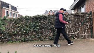 陈氏太极精要十八式15:转身双摆莲