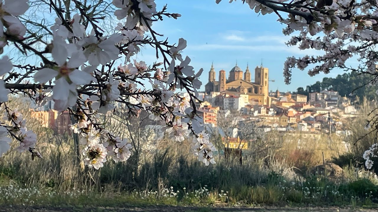 Singaporean in Spain - Spring 2026