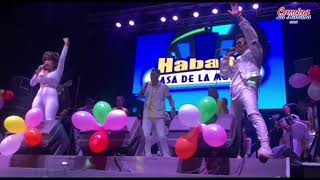 CONTRA LA MAREA (EN VIVO) - DARIO ALVAREZ & EL TEAM HAVANA | CAMINA LA HABANA #RR